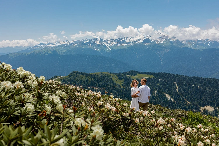 На «Роза Хутор» зацвели рододендроны , фото 3 - круглогодичный курорт «Роза Хутор»