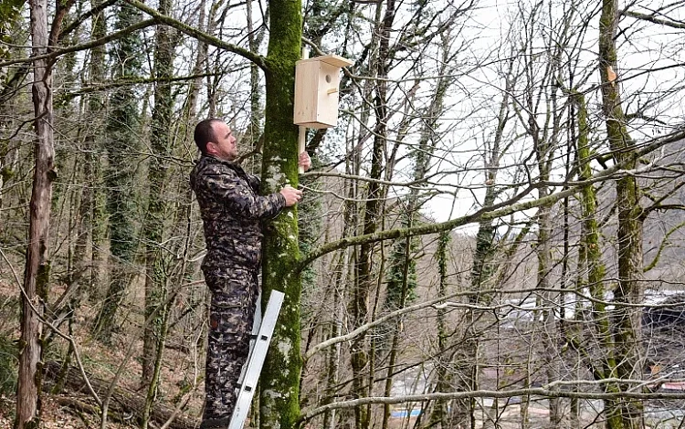 «Роза Хутор» готовится к Международному дню птиц, фото 1 - круглогодичный курорт «Роза Хутор»
