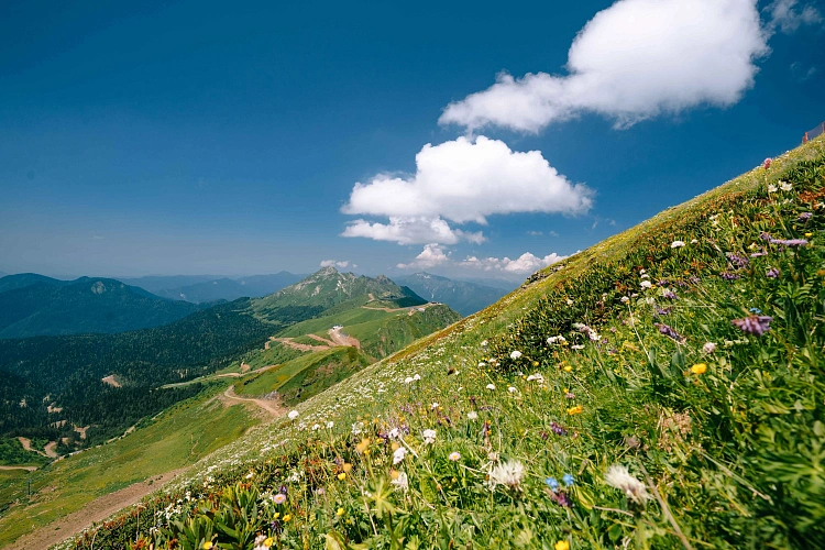 На «Роза Хутор» пройдёт трейловый забег GETRUN ROSA 2026 , фото 4 - круглогодичный курорт «Роза Хутор»