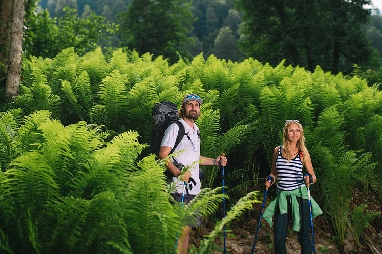 Роза Хутор откроет новые пешие маршруты в горах, фото 3 - круглогодичный курорт «Роза Хутор»