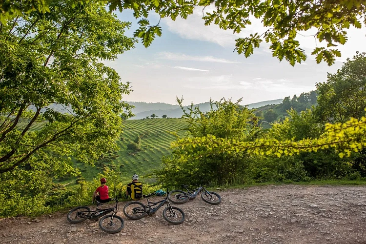 Роза Хутор развивает велотуризм, фото 2 - круглогодичный курорт «Роза Хутор»
