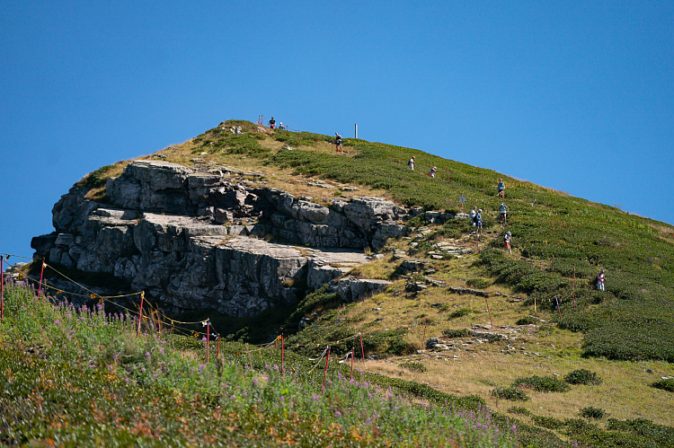 Трейловый забег Hoka Wild Trail пройдет на курорте Роза Хутор, фото 3 - круглогодичный курорт «Роза Хутор»